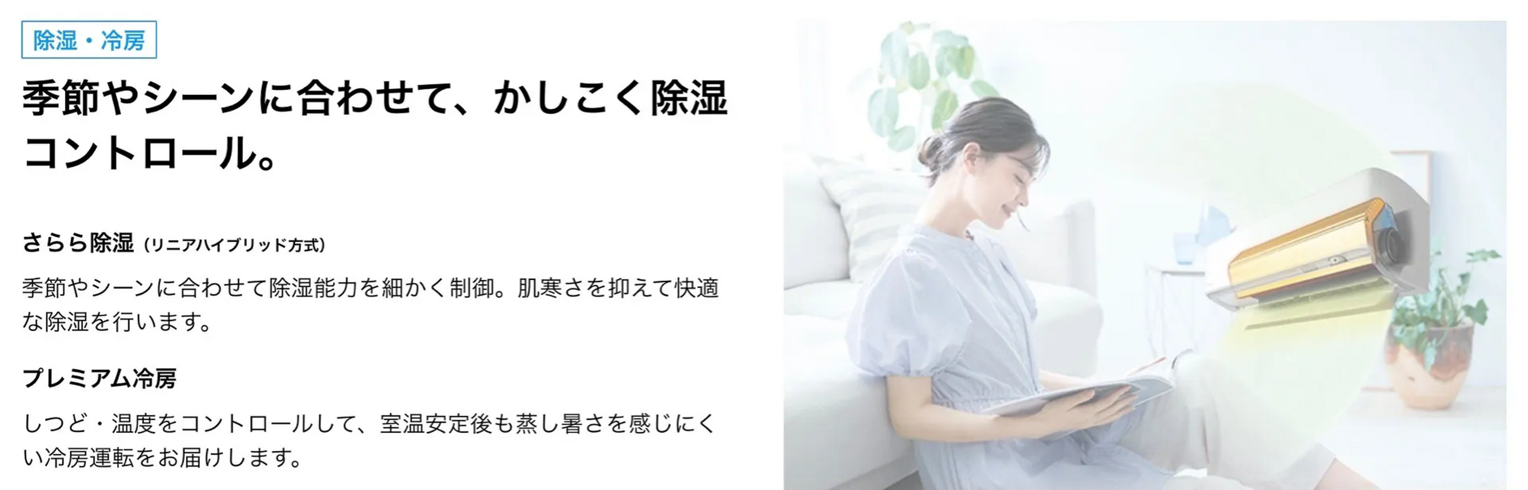 画像2268